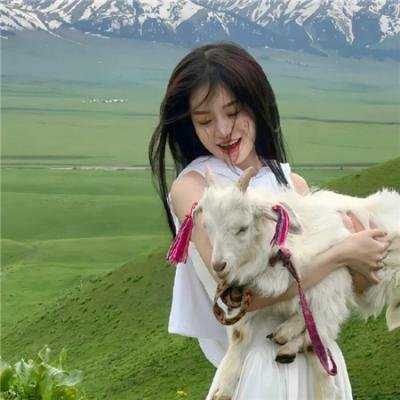 双鱼陨石